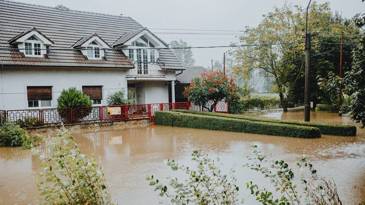 The High Cost of Water Damage for Homeowners